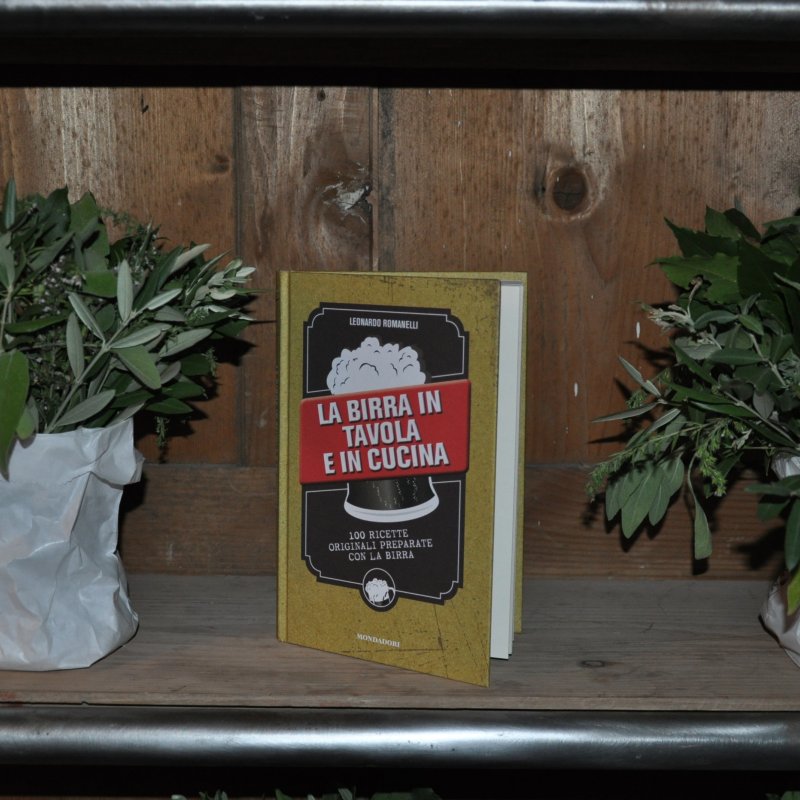 Leonardo Romanelli - Book Preview