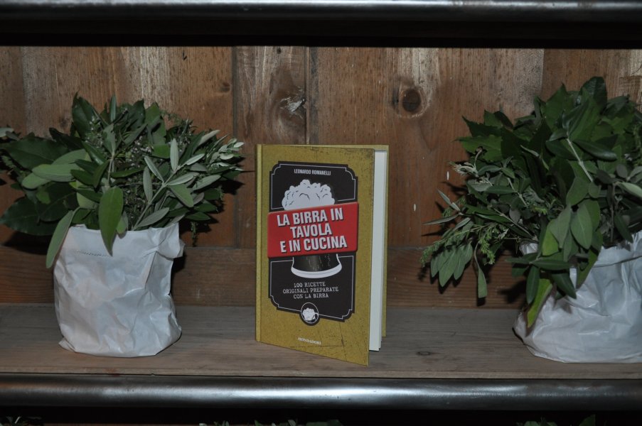 Leonardo Romanelli - Book Preview