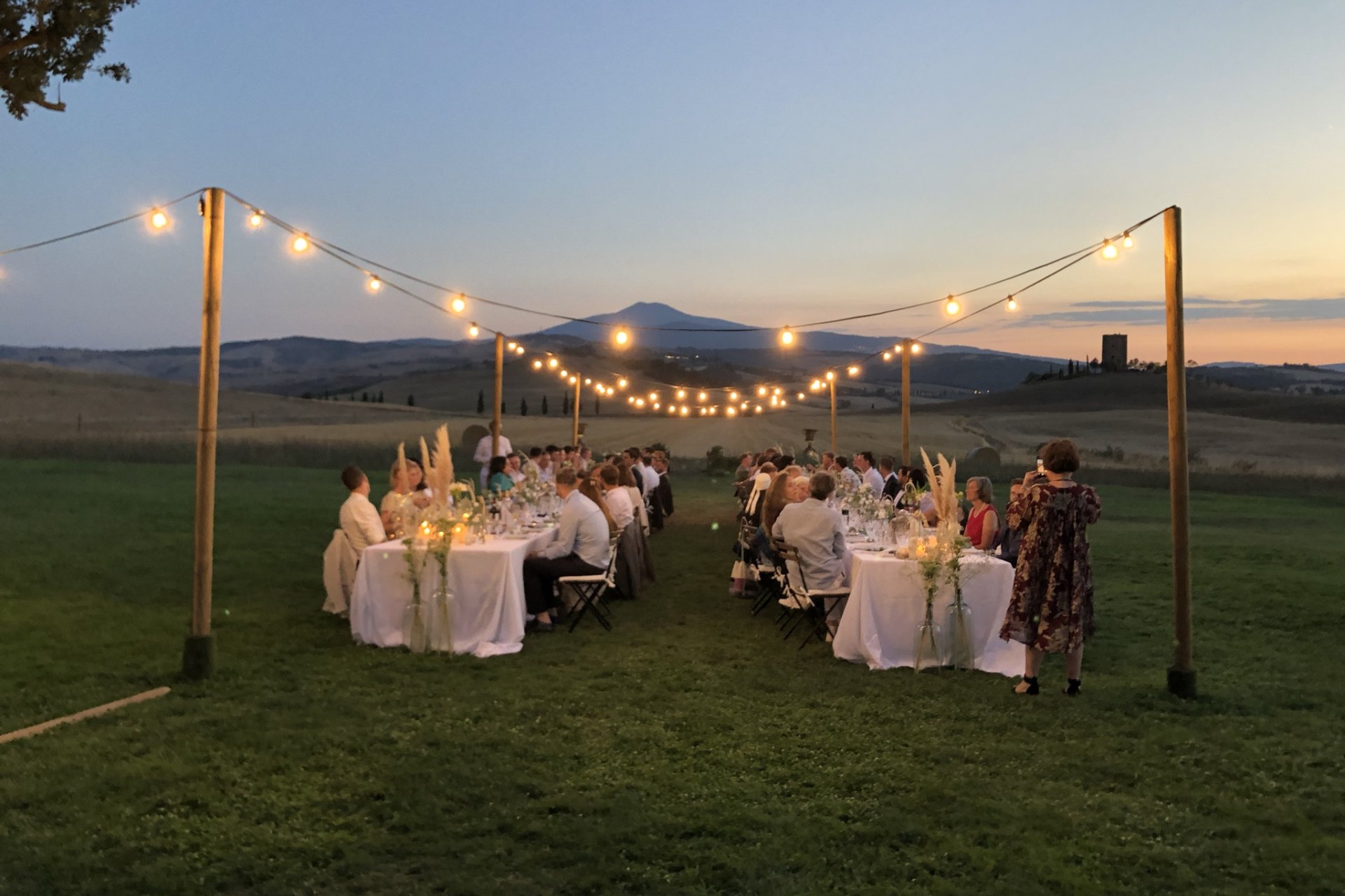 Wedding - Wedding