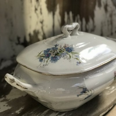 Vintage Richard Ginori tureen 