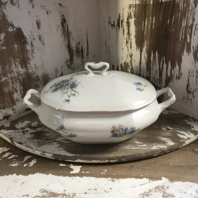 Vintage Richard Ginori tureen 