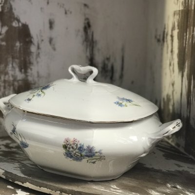 Vintage Richard Ginori tureen 