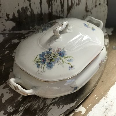 Vintage Richard Ginori tureen 