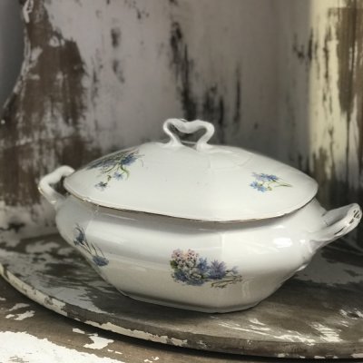 Vintage Richard Ginori tureen 